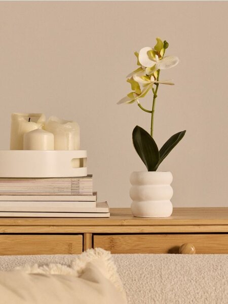 Sinsay - Dekorativní rostlina v květináči – orchidej - bílá
