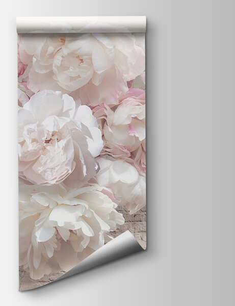 Fototapeta Skupina bílých květů, 3D fototapety, Populární fototapety, u79549 - Tapeko.co.cz