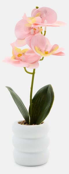Sinsay - Dekorativní rostlina v květináči – orchidej - pastelová růžová