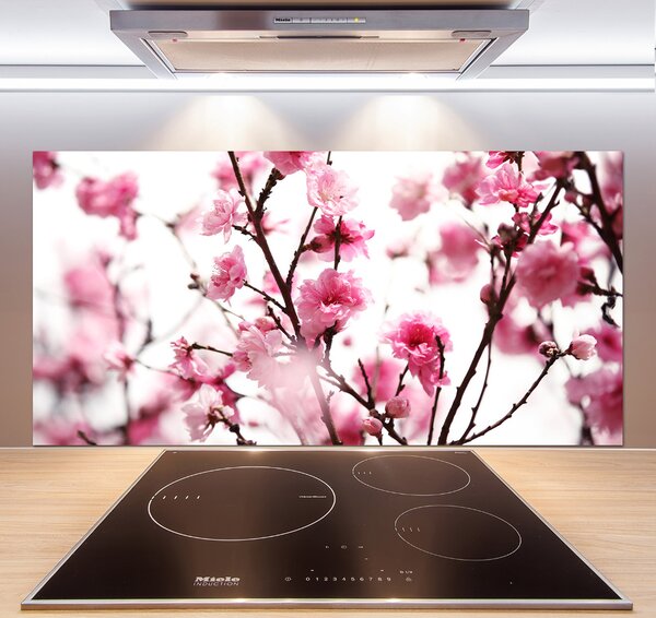 Dekorační panel sklo Květ švestky pksh-39695917