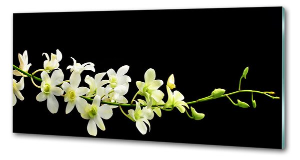 Skleněný panel do kuchynské linky Orchidej pksh-4005190