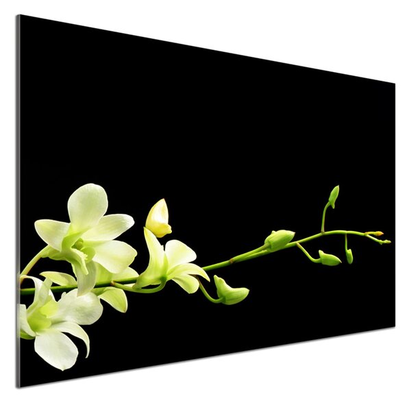 Skleněný panel do kuchynské linky Orchidej pksh-4005190