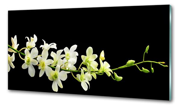 Skleněný panel do kuchynské linky Orchidej pksh-4005190