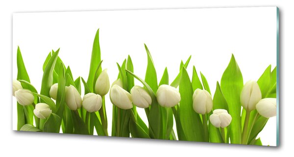 Panel do kuchyně Bílé tulipány pksh-40774643