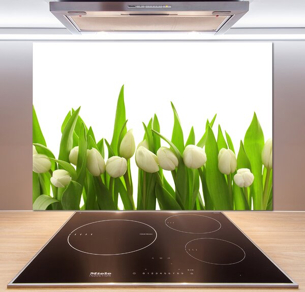 Panel do kuchyně Bílé tulipány pksh-40774643
