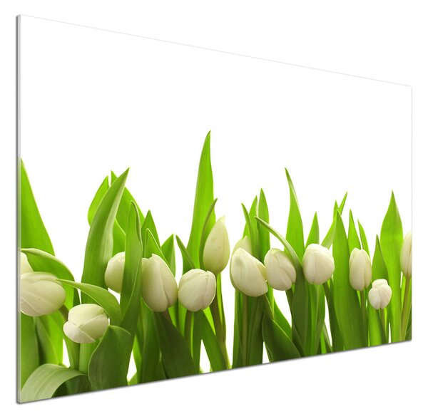 Panel do kuchyně Bílé tulipány pksh-40774643