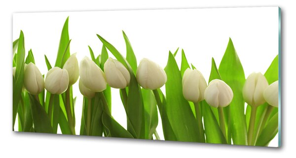 Panel do kuchyně Bílé tulipány pksh-40774671