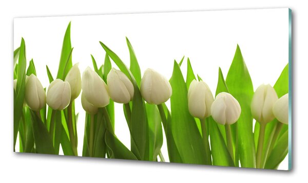 Panel do kuchyně Bílé tulipány pksh-40774671