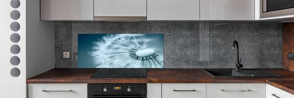 Dekorační panel sklo Pampeliška pksh-41983383