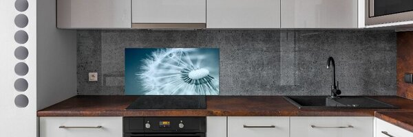 Dekorační panel sklo Pampeliška pksh-41983383