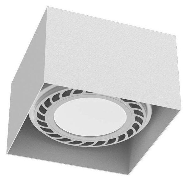 Brosline 1268 - Bodové svítidlo CAGE 1xGU10/18W/230V bílá