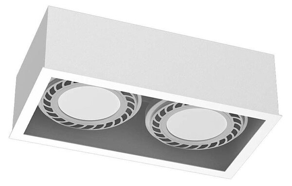 Brosline 1274 - Bodové svítidlo CAGE 2xGU10/18W/230V bílá