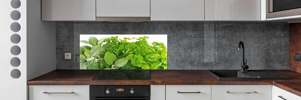 Skleněný panel do kuchyně Byliny pksh-42979948