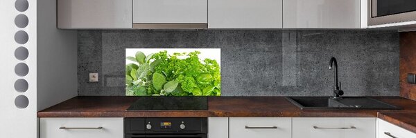 Skleněný panel do kuchyně Byliny pksh-42979948