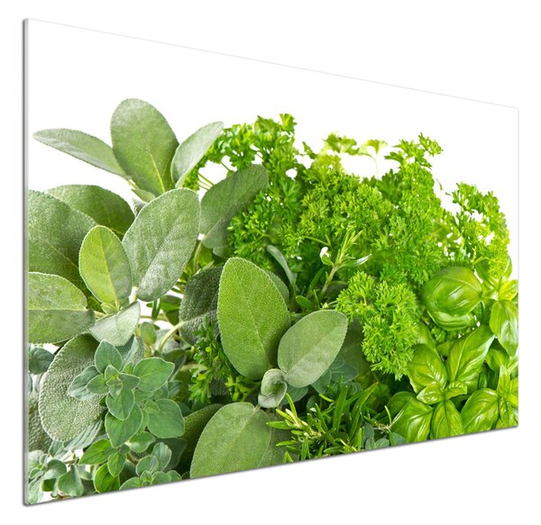 Skleněný panel do kuchyně Byliny pksh-42979948