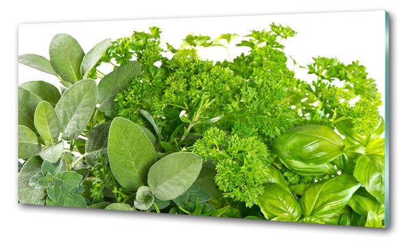 Skleněný panel do kuchyně Byliny pksh-42979948