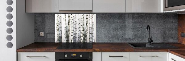 Dekorační panel sklo Kmeny bříz pksh-43264231
