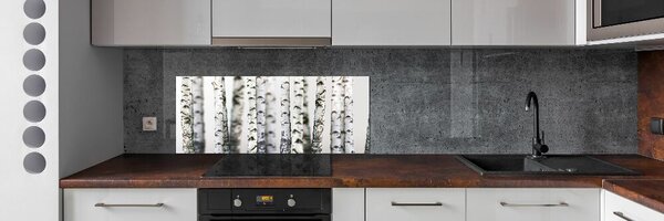 Dekorační panel sklo Kmeny bříz pksh-43264231
