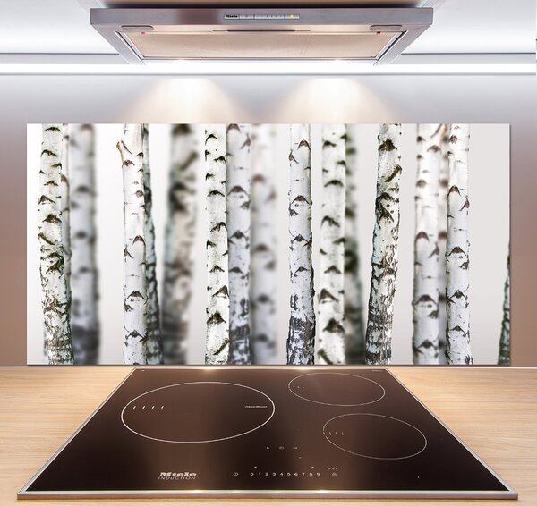 Dekorační panel sklo Kmeny bříz pksh-43264231