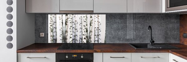 Dekorační panel sklo Kmeny bříz pksh-43264231