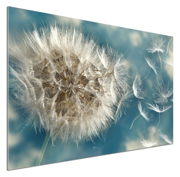 Skleněný panel do kuchynské linky Pampelišky pksh-43475908