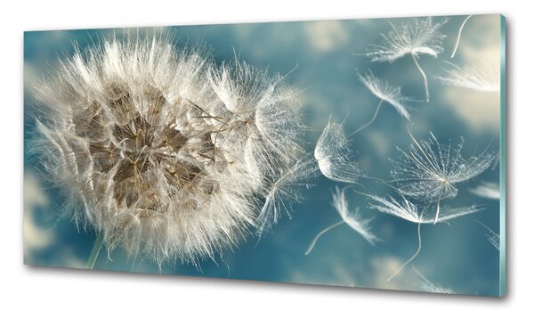 Skleněný panel do kuchynské linky Pampelišky pksh-43475908