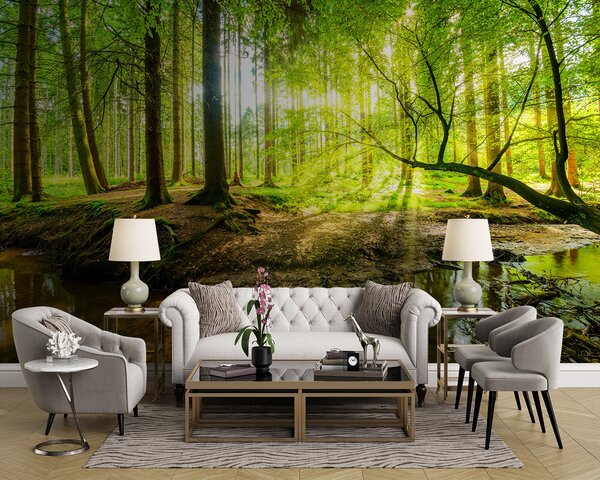 Fototapety Průhlednost lesního potoka, Fototapety příroda, u93621 : uwalls.cz
