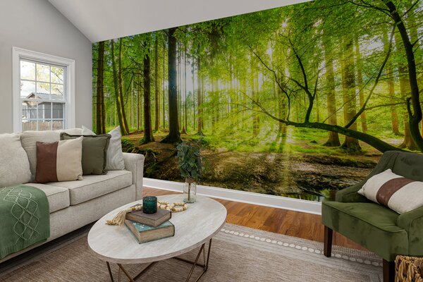 Fototapety Průhlednost lesního potoka, Fototapety příroda, u93621 : uwalls.cz