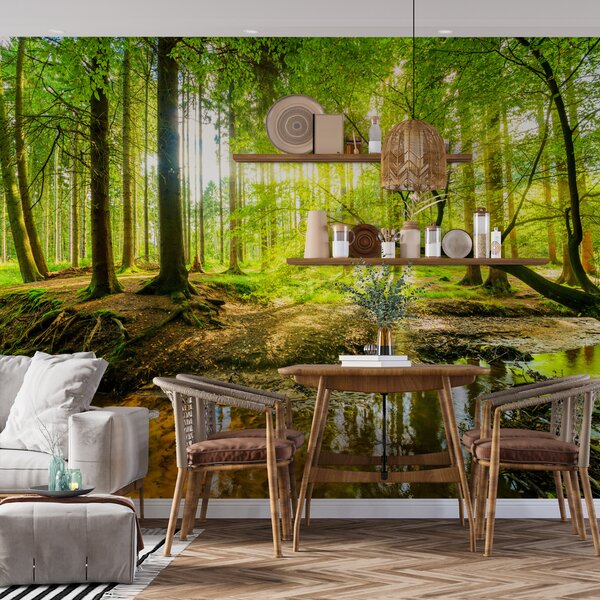 Fototapety Průhlednost lesního potoka, Fototapety příroda, u93621 : uwalls.cz