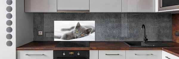Skleněný panel do kuchynské linky Šedá kočka pksh-43951156