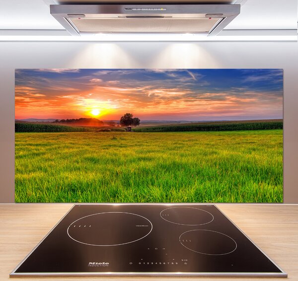 Panel do kuchyně Západ slunce louka pksh-44149731