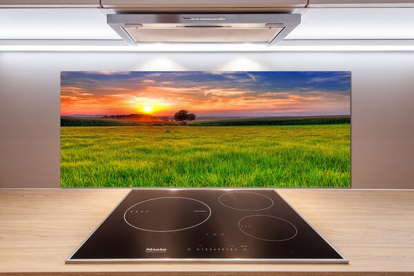 Panel do kuchyně Západ slunce louka pksh-44149731