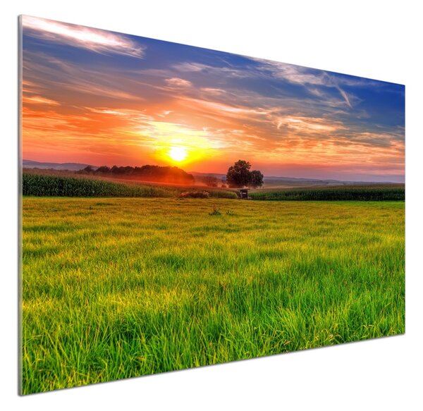 Panel do kuchyně Západ slunce louka pksh-44149731