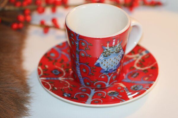 Hrnek Taika Iittala červený
