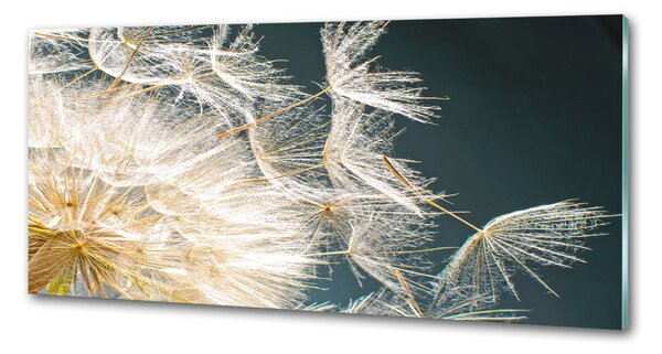 Panel do kuchyně Semeno pampelišky pksh-44689363