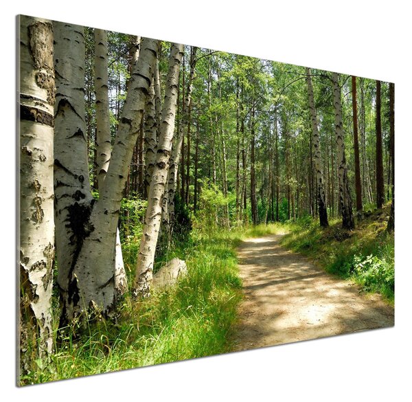 Panel do kuchyně Stezka v lese pksh-4509873