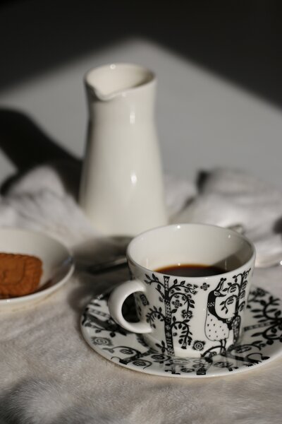 Konvička na mléko Teema iittala 0,2 l