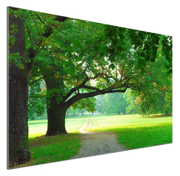 Panel do kuchyně Podzimní park pksh-45444718