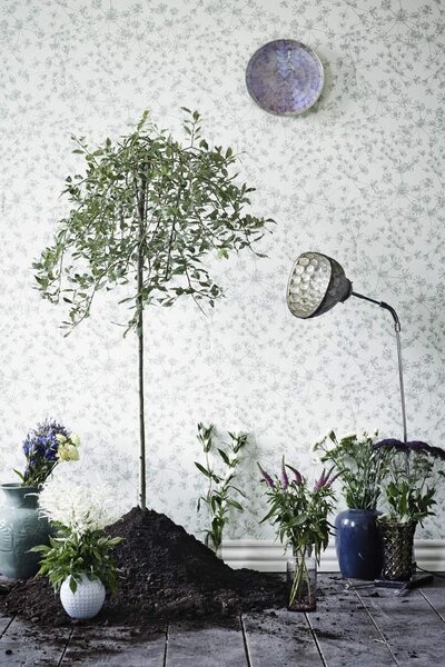 Tapeta Fiona botanic 510334