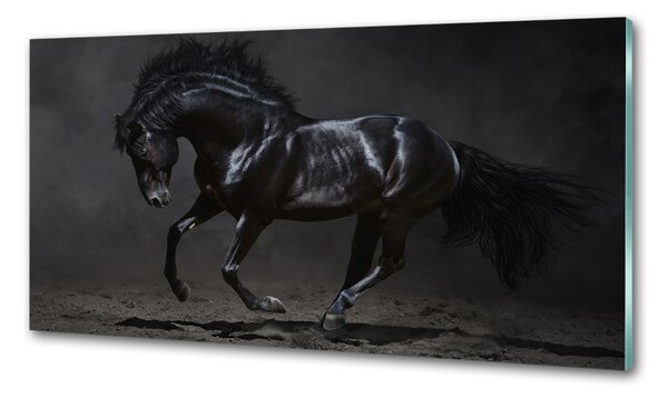 Dekorační panel sklo Černý kůň pksh-47712826