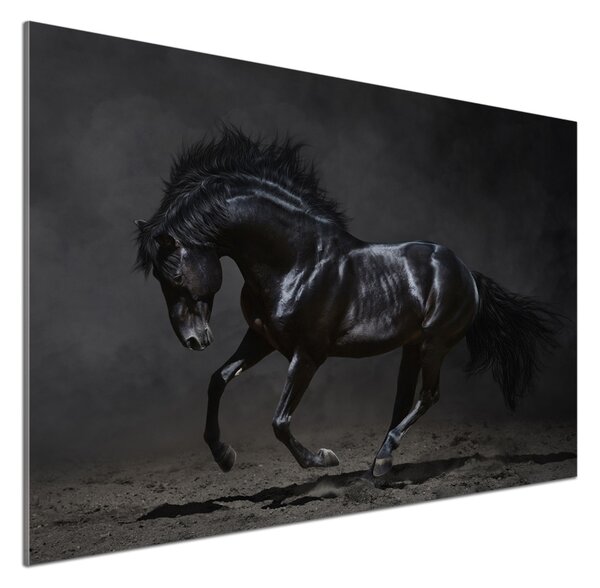 Dekorační panel sklo Černý kůň pksh-47712826