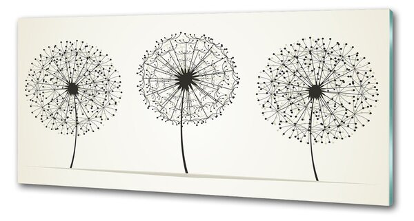 Skleněný panel do kuchynské linky Pampelišky pksh-47907929