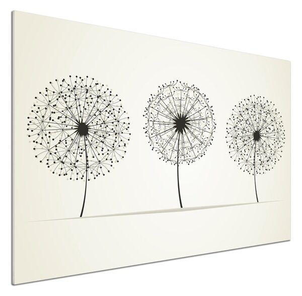 Skleněný panel do kuchynské linky Pampelišky pksh-47907929