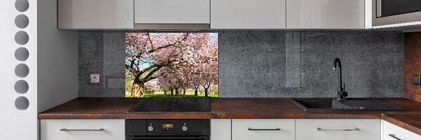Dekorační panel sklo Višně pksh-48048781