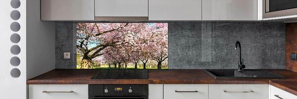 Dekorační panel sklo Višně pksh-48048781