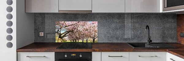 Dekorační panel sklo Višně pksh-48048781