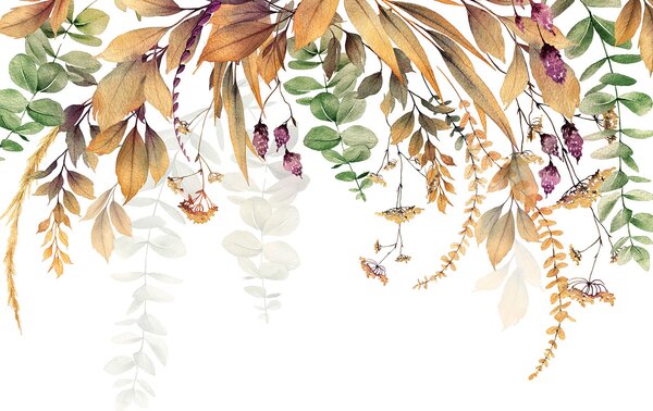 Fototapeta Botanická elegance na bílém pozadí, Květinové fototapety, Populární fototapety, u94198 - Tapeko.co.cz