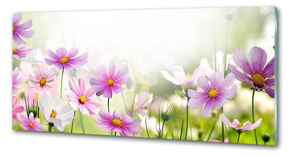 Panel do kuchyně Květiny na louce pksh-49015861