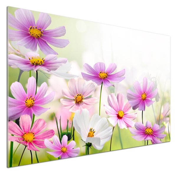 Panel do kuchyně Květiny na louce pksh-49015861