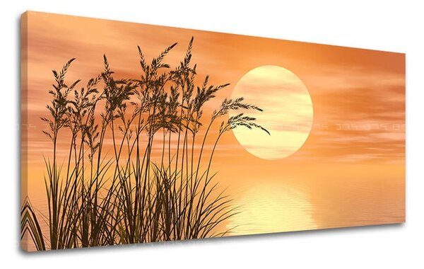 Obraz na stěnu PANORAMA ABSTRAKT - 30x60 cm